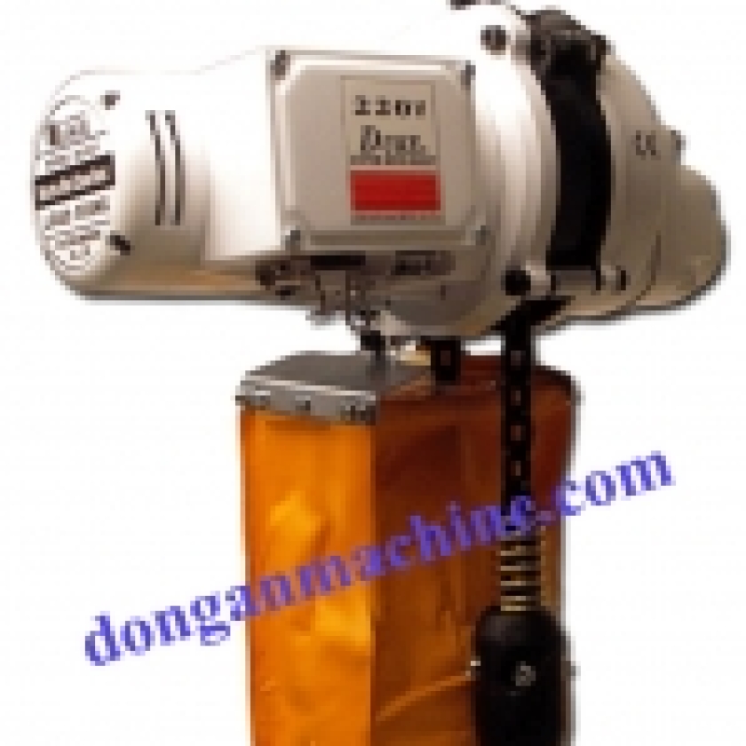 Electric mini chain hoist DU-901 (500Kg)